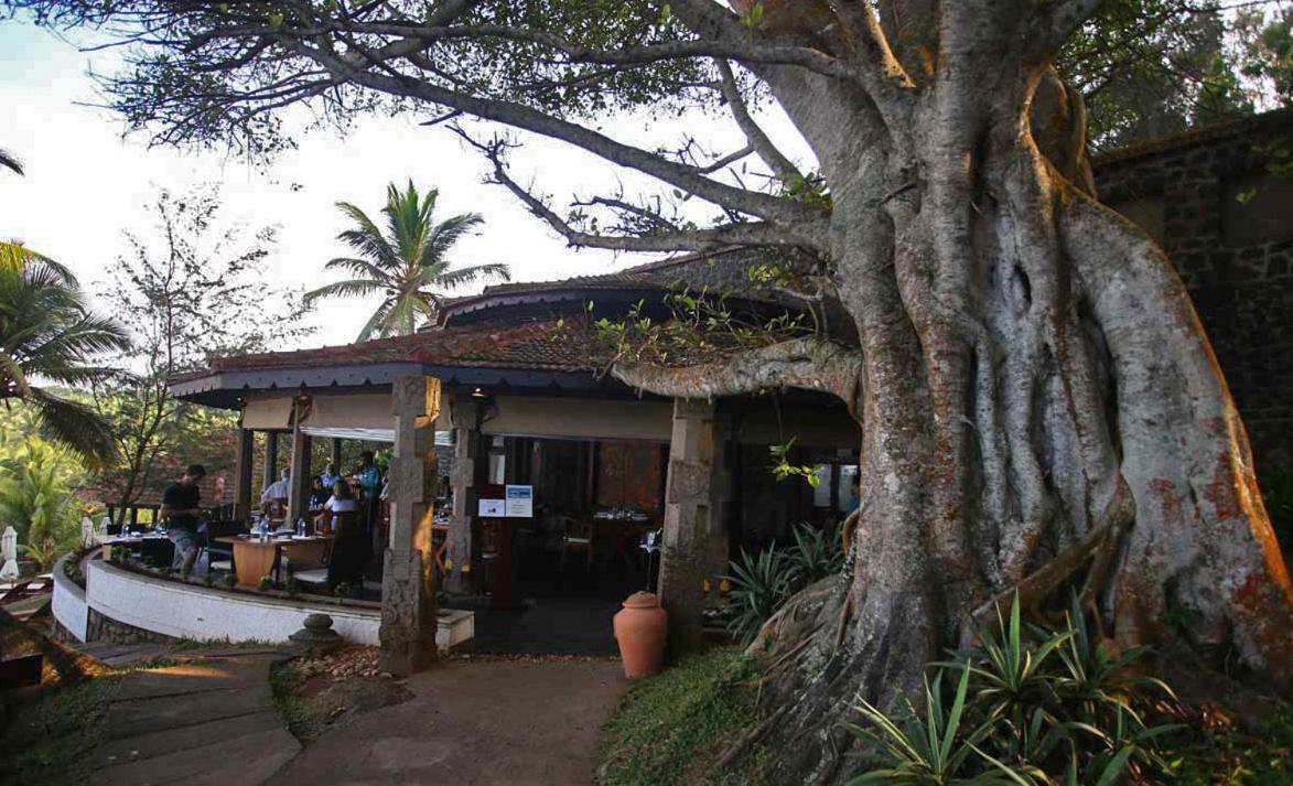 Niraamaya Wellness Retreats, Surya Samudra, Kovalam Hotel Exterior photo