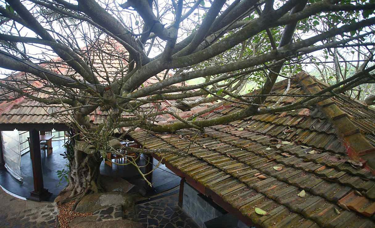 Niraamaya Wellness Retreats, Surya Samudra, Kovalam Hotel Exterior photo